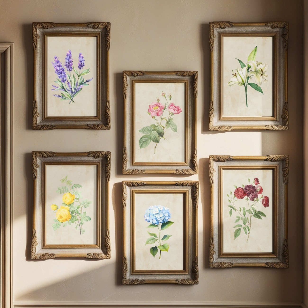 Botanical Floral Wall Art Set of 6